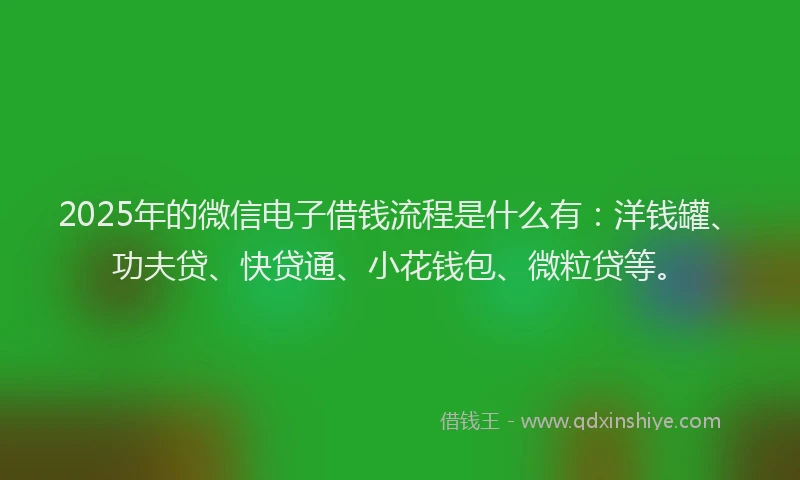 2025年的微信电子借钱流程是什么有：洋钱罐、功夫贷、快贷通、小花钱包、微粒贷等。