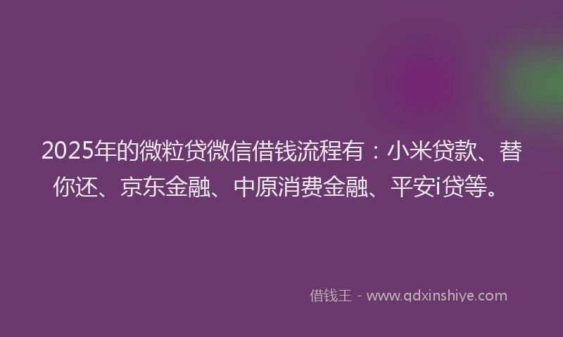 2025年的微粒贷微信借钱流程有：小米贷款、替你还、京东金融、中原消费金融、平安i贷等。
