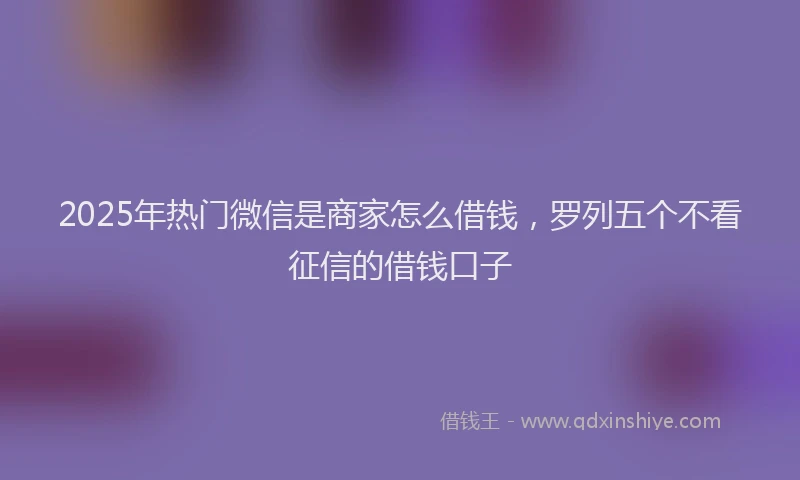 2025年热门微信是商家怎么借钱，罗列五个不看征信的借钱口子