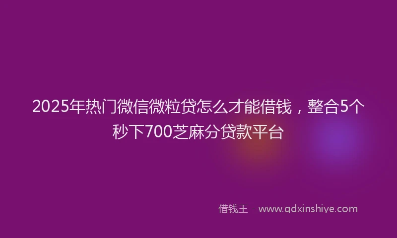 2025年热门微信微粒贷怎么才能借钱，整合5个秒下700芝麻分贷款平台