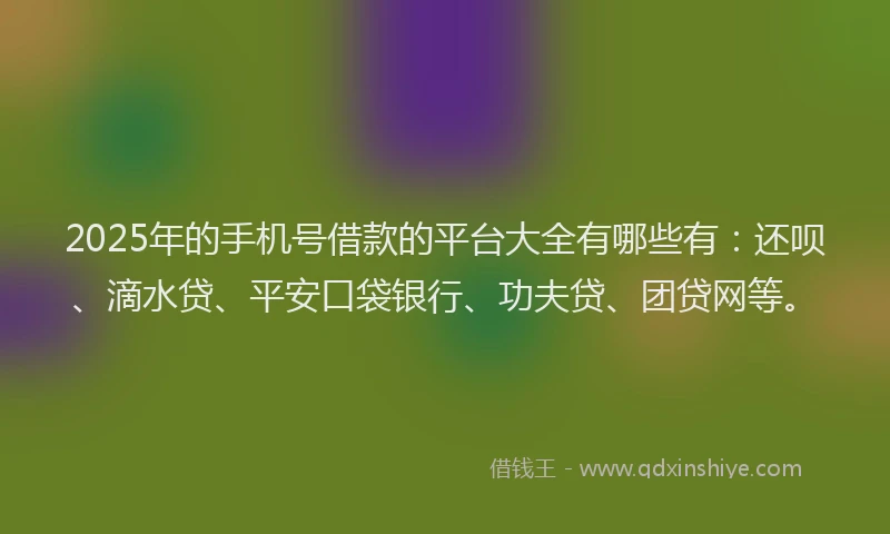 2025年的手机号借款的平台大全有哪些有：还呗、滴水贷、平安口袋银行、功夫贷、团贷网等。