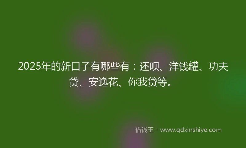 2025年的新口子有哪些有：还呗、洋钱罐、功夫贷、安逸花、你我贷等。