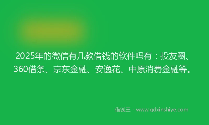 2025年的微信有几款借钱的软件吗有：投友圈、360借条、京东金融、安逸花、中原消费金融等。