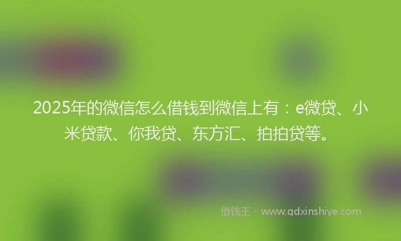 2025年的微信怎么借钱到微信上有：e微贷、小米贷款、你我贷、东方汇、拍拍贷等。