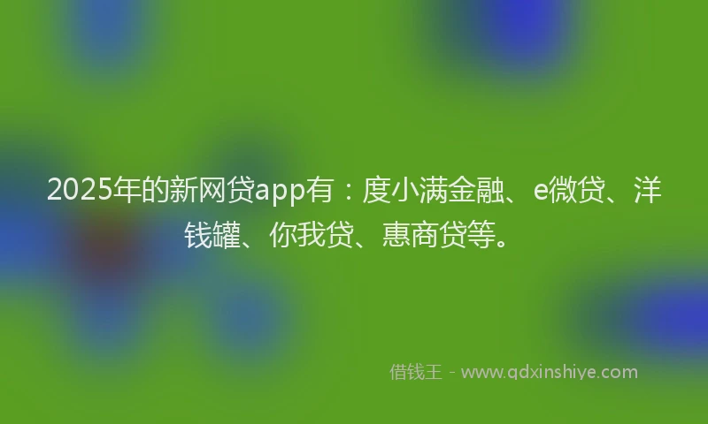 2025年的新网贷app有：度小满金融、e微贷、洋钱罐、你我贷、惠商贷等。