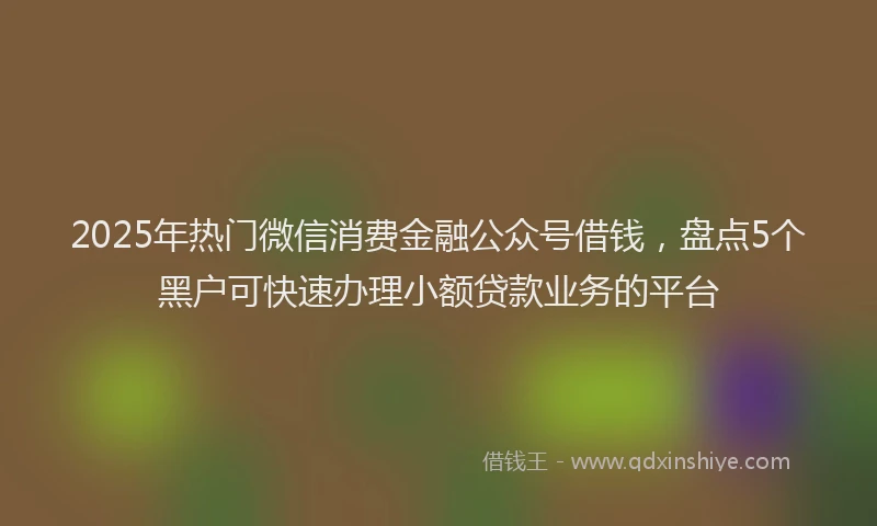 2025年热门微信消费金融公众号借钱，盘点5个黑户可快速办理小额贷款业务的平台