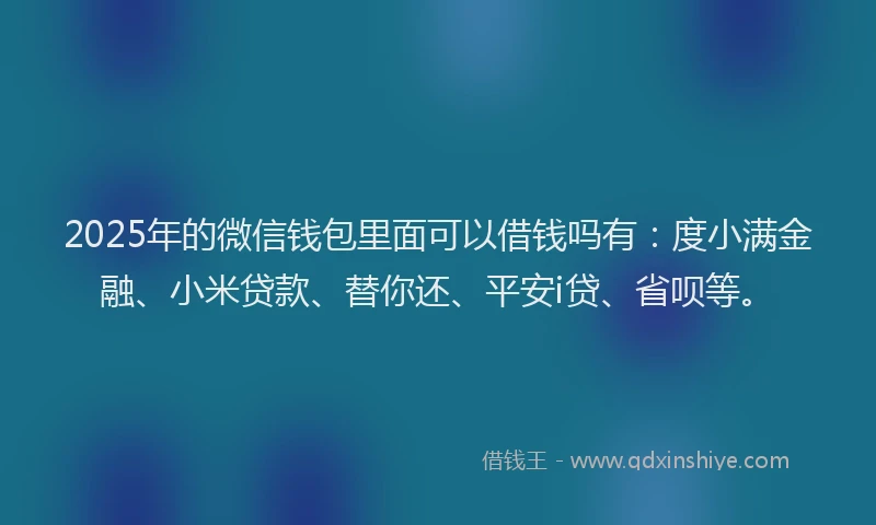 2025年的微信钱包里面可以借钱吗有：度小满金融、小米贷款、替你还、平安i贷、省呗等。