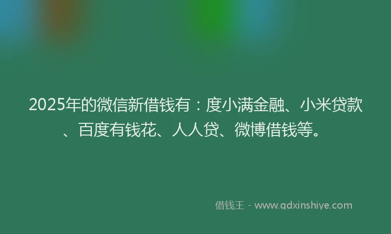 2025年的微信新借钱有：度小满金融、小米贷款、百度有钱花、人人贷、微博借钱等。