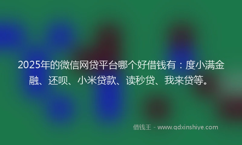 2025年的微信网贷平台哪个好借钱有：度小满金融、还呗、小米贷款、读秒贷、我来贷等。