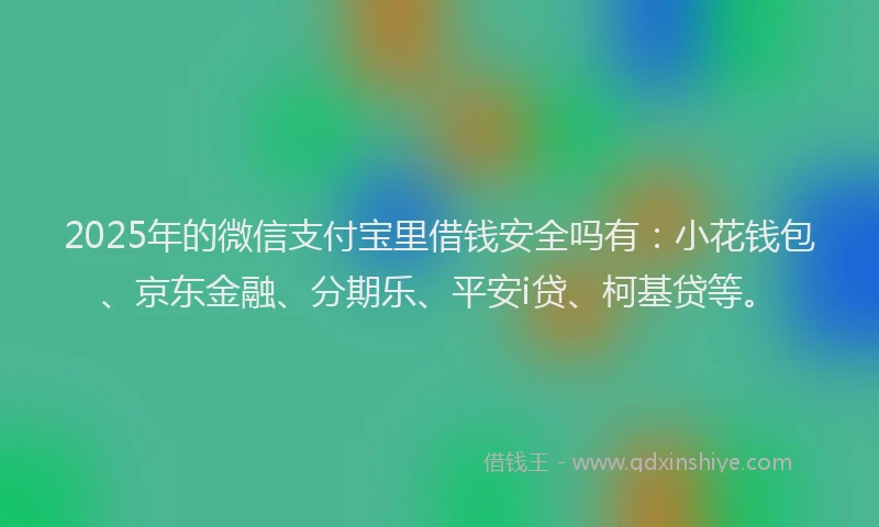 2025年的微信支付宝里借钱安全吗有：小花钱包、京东金融、分期乐、平安i贷、柯基贷等。
