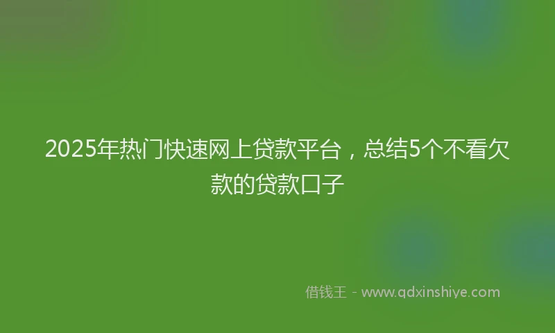 2025年热门快速网上贷款平台，总结5个不看欠款的贷款口子
