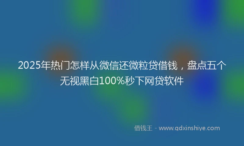 2025年热门怎样从微信还微粒贷借钱，盘点五个无视黑白100%秒下网贷软件