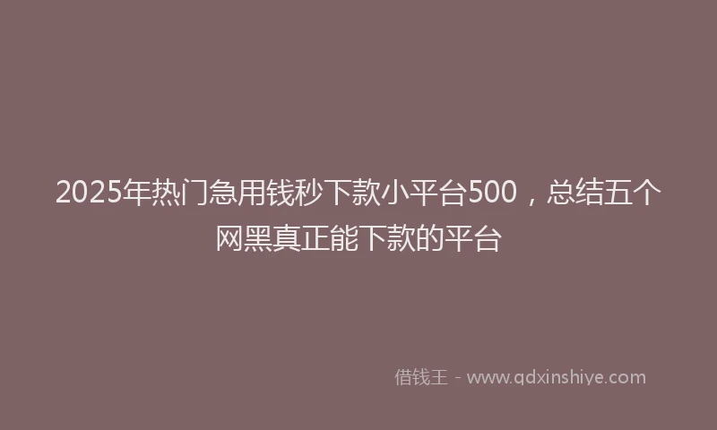 2025年热门急用钱秒下款小平台500，总结五个网黑真正能下款的平台