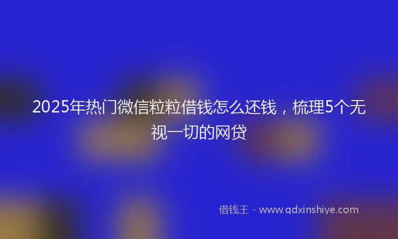 2025年热门微信粒粒借钱怎么还钱，梳理5个无视一切的网贷
