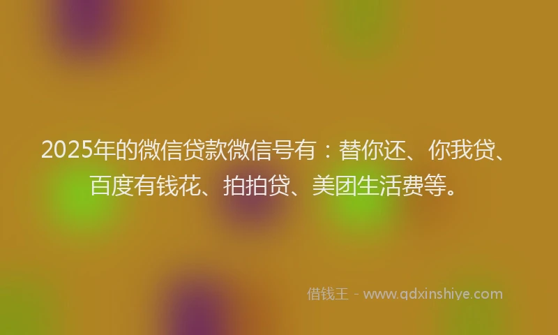 2025年的微信贷款微信号有：替你还、你我贷、百度有钱花、拍拍贷、美团生活费等。