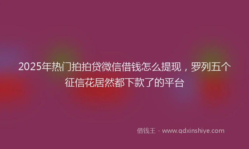 2025年热门拍拍贷微信借钱怎么提现，罗列五个征信花居然都下款了的平台
