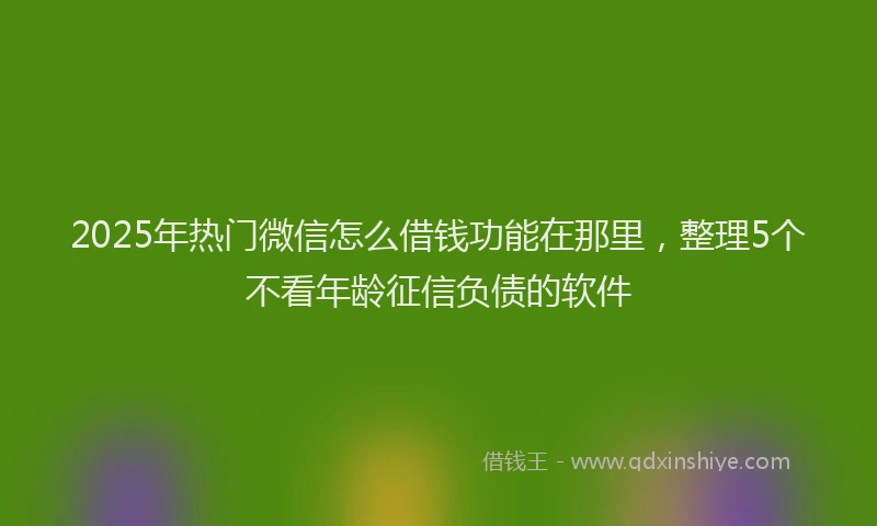 2025年热门微信怎么借钱功能在那里，整理5个不看年龄征信负债的软件