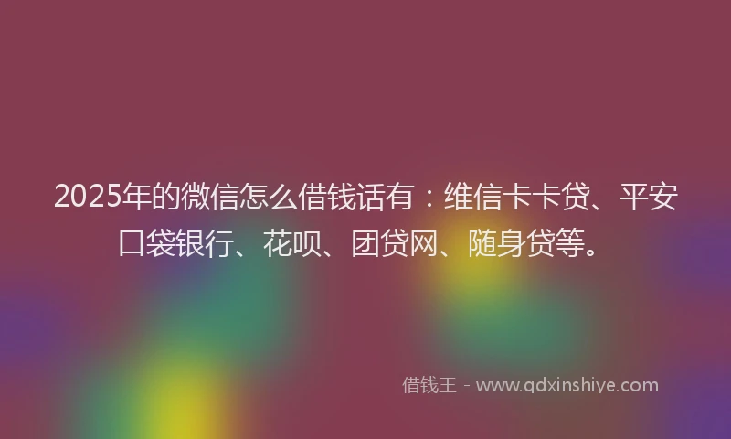 2025年的微信怎么借钱话有：维信卡卡贷、平安口袋银行、花呗、团贷网、随身贷等。