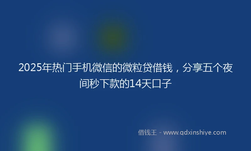 2025年热门手机微信的微粒贷借钱，分享五个夜间秒下款的14天口子