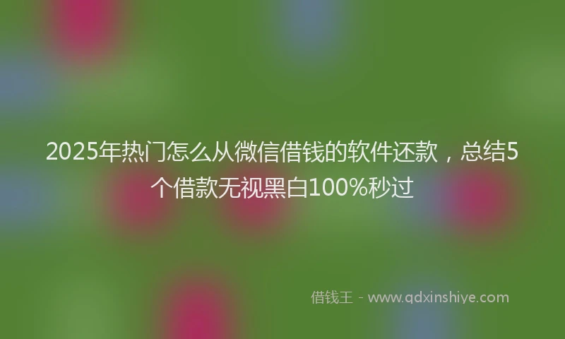 2025年热门怎么从微信借钱的软件还款，总结5个借款无视黑白100%秒过