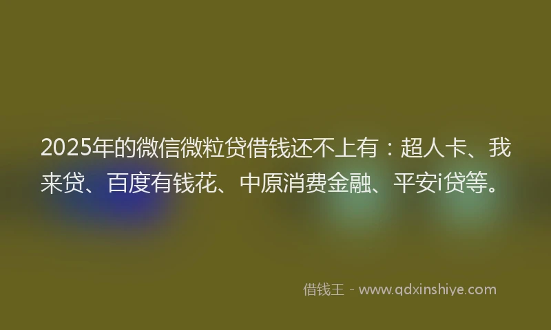 2025年的微信微粒贷借钱还不上有：超人卡、我来贷、百度有钱花、中原消费金融、平安i贷等。