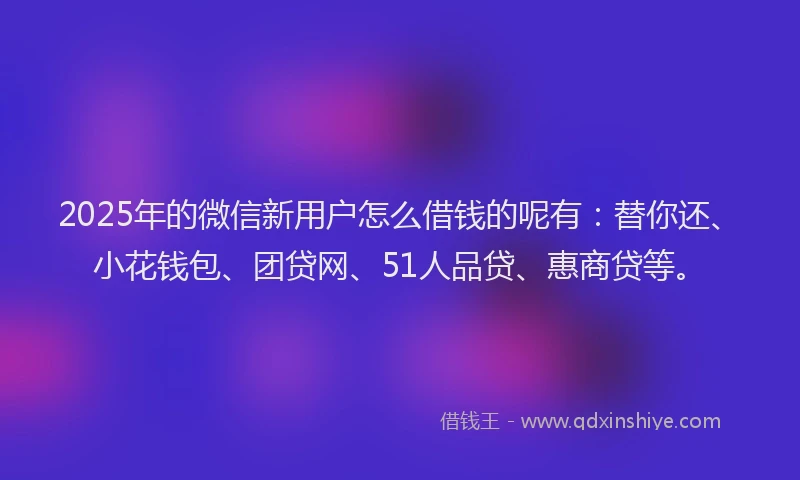 2025年的微信新用户怎么借钱的呢有：替你还、小花钱包、团贷网、51人品贷、惠商贷等。