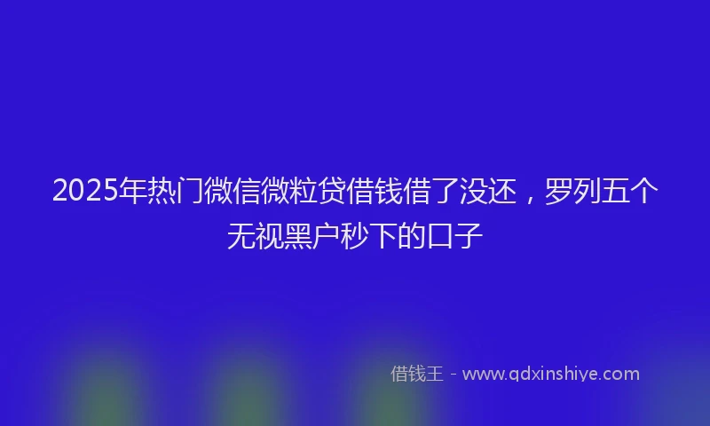 2025年热门微信微粒贷借钱借了没还，罗列五个无视黑户秒下的口子