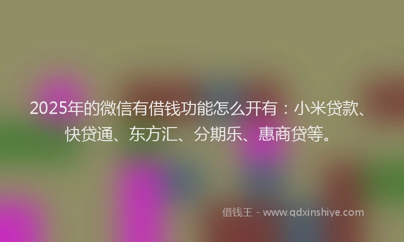 2025年的微信有借钱功能怎么开有：小米贷款、快贷通、东方汇、分期乐、惠商贷等。