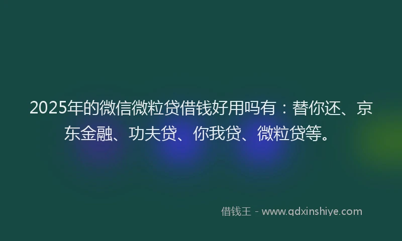 2025年的微信微粒贷借钱好用吗有：替你还、京东金融、功夫贷、你我贷、微粒贷等。