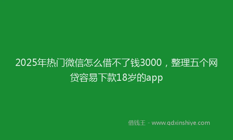 2025年热门微信怎么借不了钱3000，整理五个网贷容易下款18岁的app