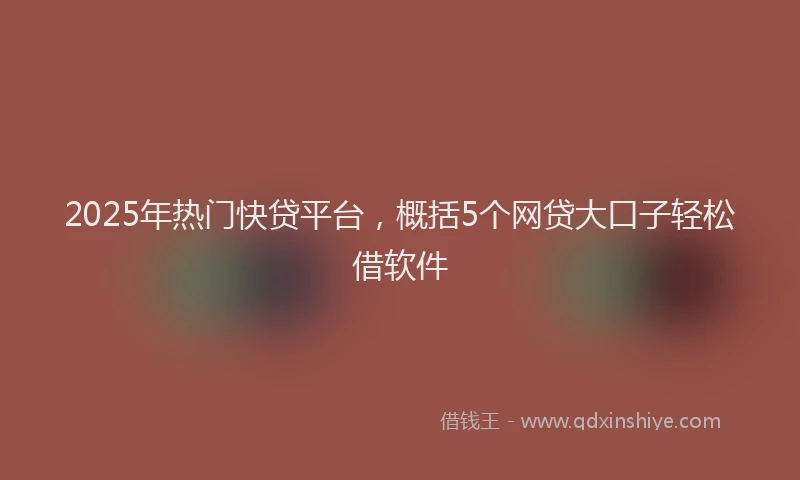 2025年热门快贷平台，概括5个网贷大口子轻松借软件