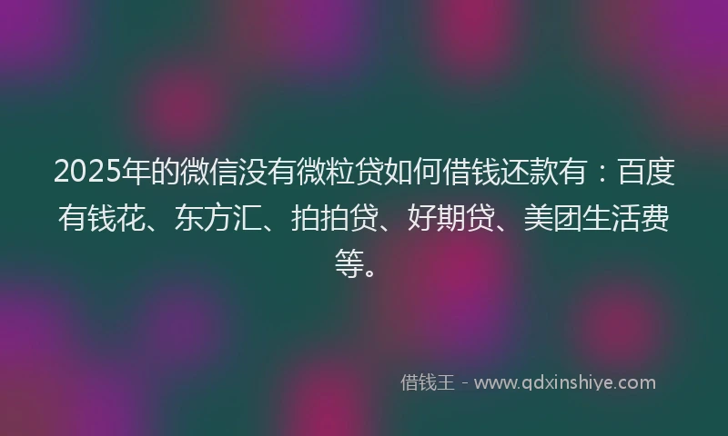 2025年的微信没有微粒贷如何借钱还款有：百度有钱花、东方汇、拍拍贷、好期贷、美团生活费等。