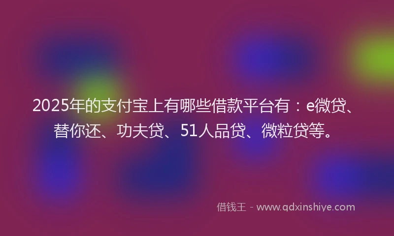 2025年的支付宝上有哪些借款平台有：e微贷、替你还、功夫贷、51人品贷、微粒贷等。