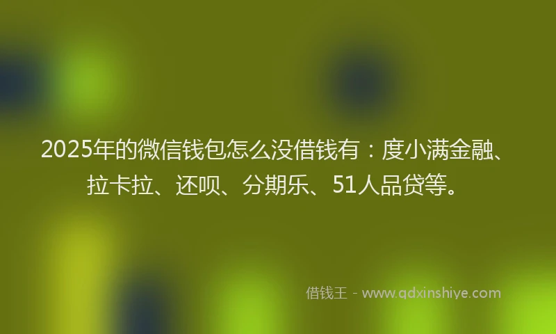 2025年的微信钱包怎么没借钱有：度小满金融、拉卡拉、还呗、分期乐、51人品贷等。