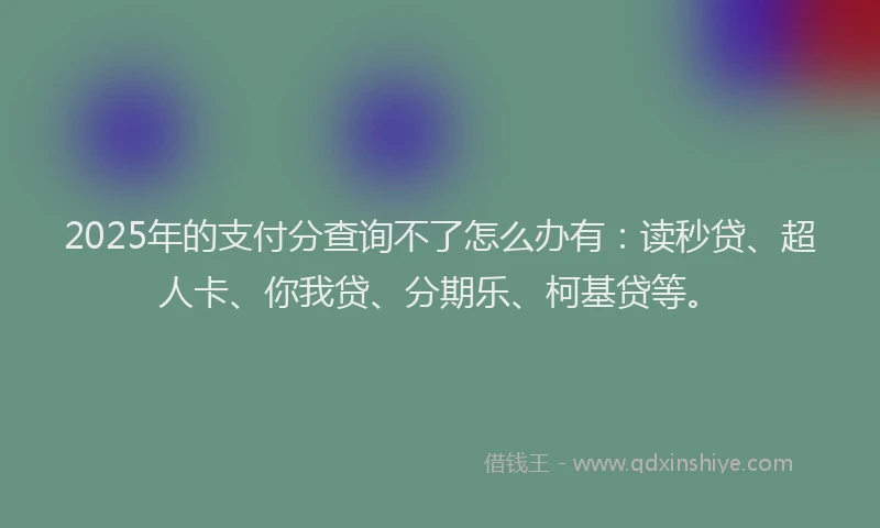 2025年的支付分查询不了怎么办有：读秒贷、超人卡、你我贷、分期乐、柯基贷等。