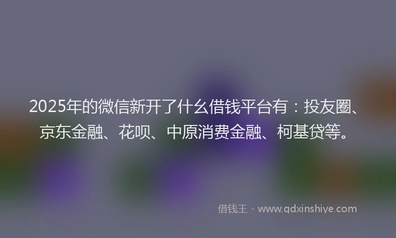 2025年的微信新开了什幺借钱平台有：投友圈、京东金融、花呗、中原消费金融、柯基贷等。