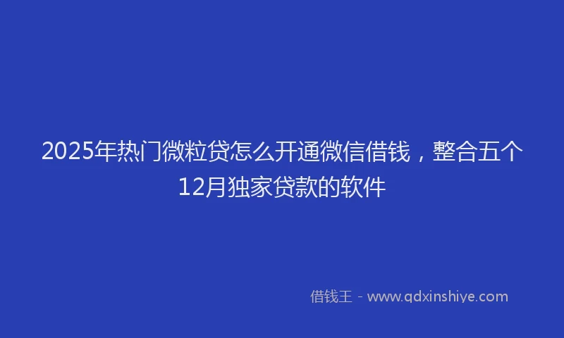 2025年热门微粒贷怎么开通微信借钱，整合五个12月独家贷款的软件