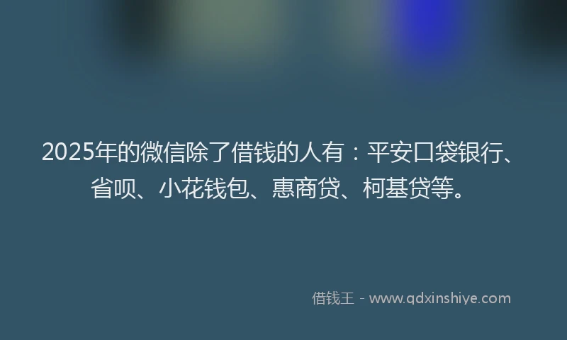 2025年的微信除了借钱的人有：平安口袋银行、省呗、小花钱包、惠商贷、柯基贷等。