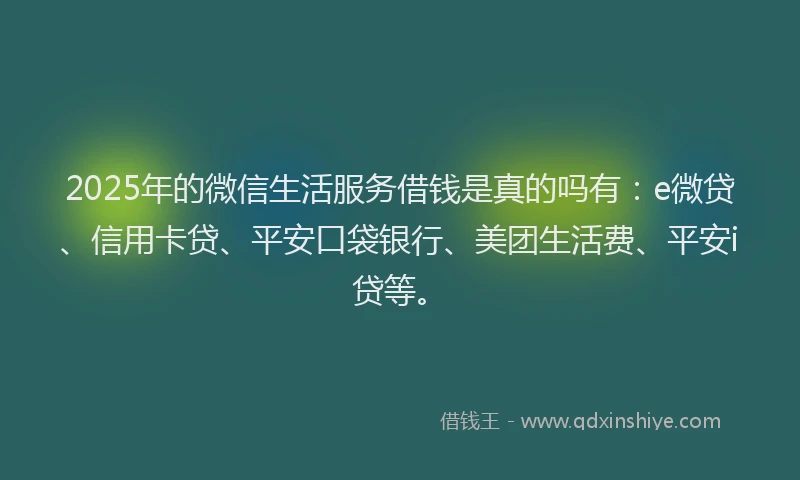 2025年的微信生活服务借钱是真的吗有：e微贷、信用卡贷、平安口袋银行、美团生活费、平安i贷等。