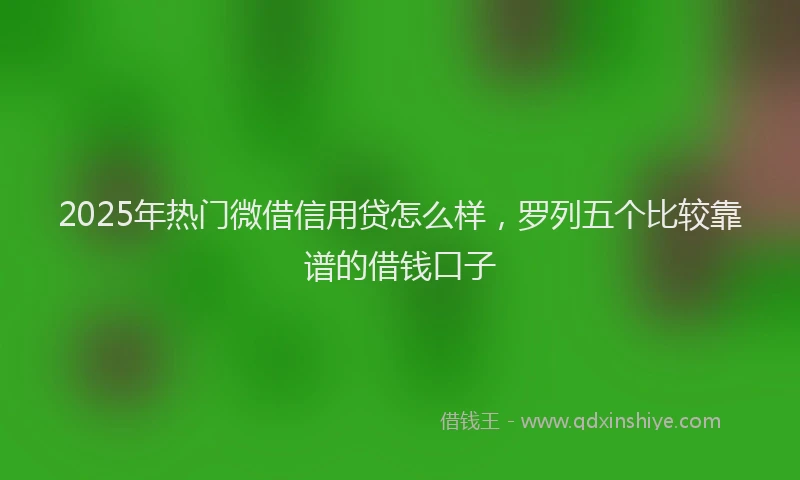 2025年热门微借信用贷怎么样，罗列五个比较靠谱的借钱口子