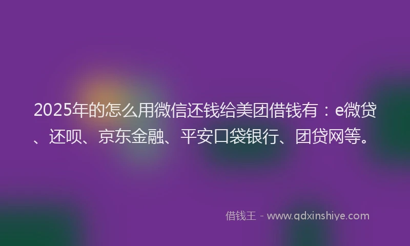 2025年的怎么用微信还钱给美团借钱有：e微贷、还呗、京东金融、平安口袋银行、团贷网等。
