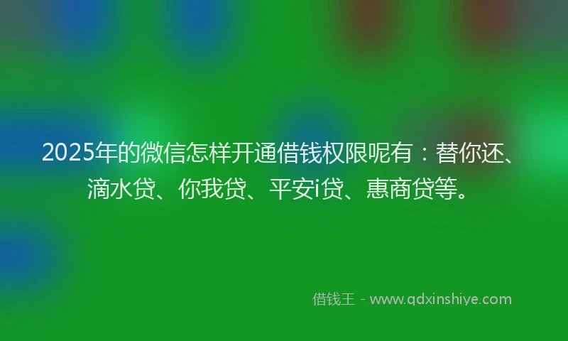 2025年的微信怎样开通借钱权限呢有：替你还、滴水贷、你我贷、平安i贷、惠商贷等。