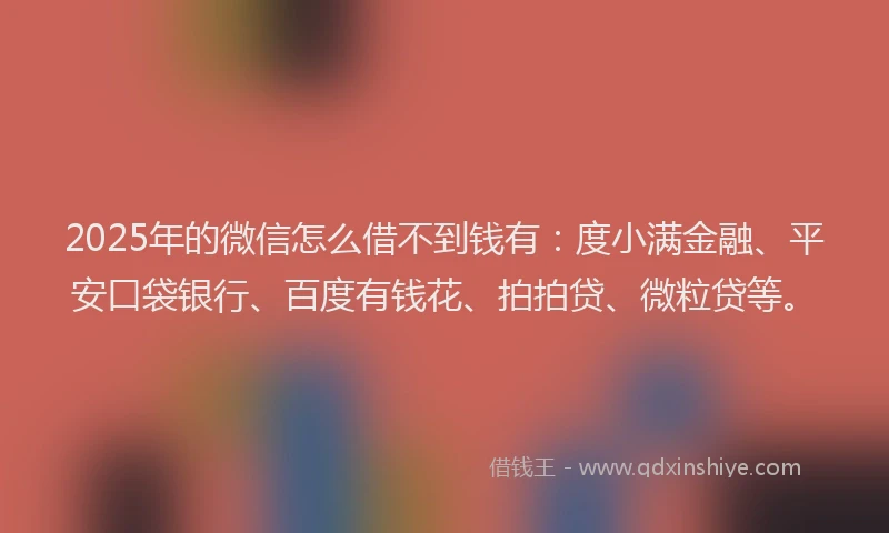 2025年的微信怎么借不到钱有：度小满金融、平安口袋银行、百度有钱花、拍拍贷、微粒贷等。