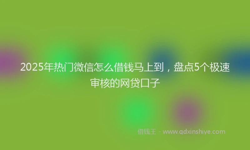2025年热门微信怎么借钱马上到，盘点5个极速审核的网贷口子