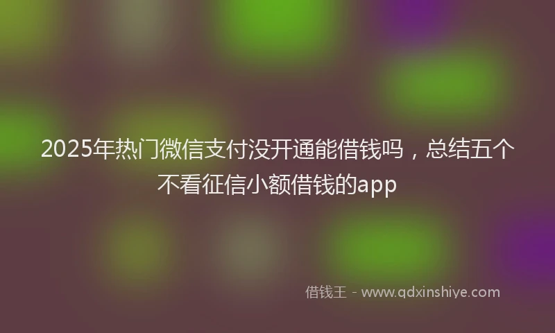 2025年热门微信支付没开通能借钱吗，总结五个不看征信小额借钱的app