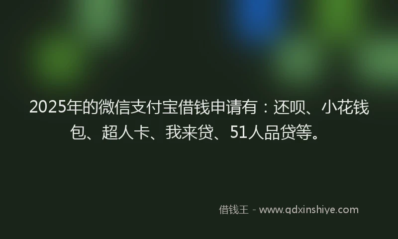 2025年的微信支付宝借钱申请有：还呗、小花钱包、超人卡、我来贷、51人品贷等。