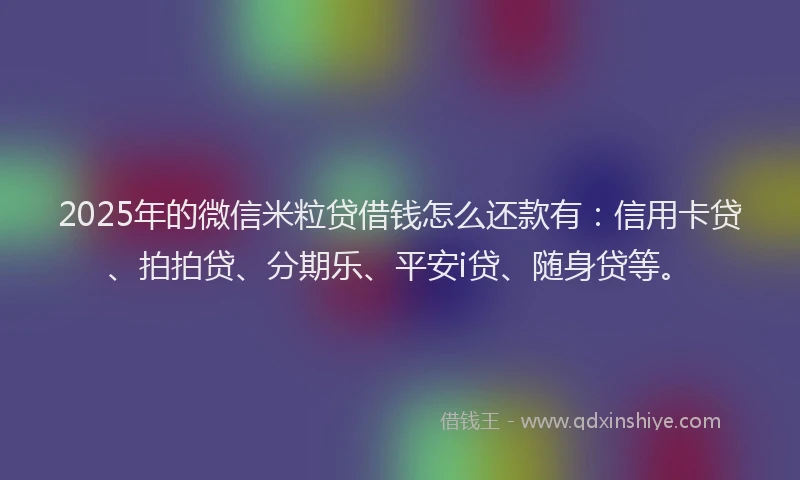 2025年的微信米粒贷借钱怎么还款有：信用卡贷、拍拍贷、分期乐、平安i贷、随身贷等。