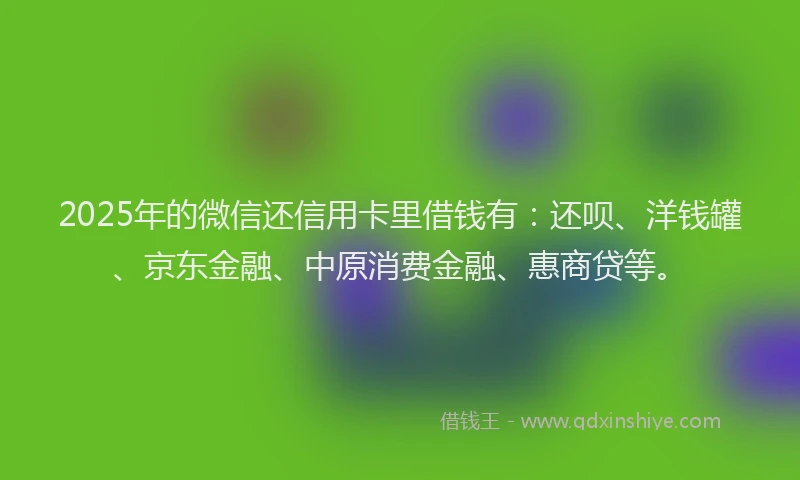 2025年的微信还信用卡里借钱有：还呗、洋钱罐、京东金融、中原消费金融、惠商贷等。
