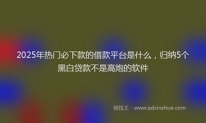 2025年热门必下款的借款平台是什么，归纳5个黑白贷款不是高炮的软件