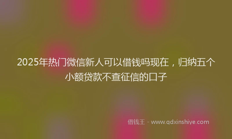 2025年热门微信新人可以借钱吗现在，归纳五个小额贷款不查征信的口子